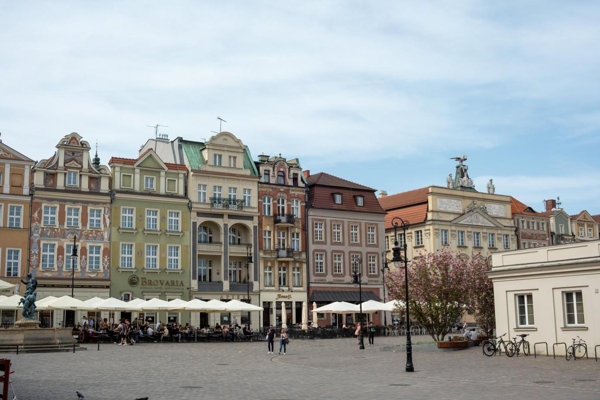 Apartamenty Drevny Kocur — Photos 2