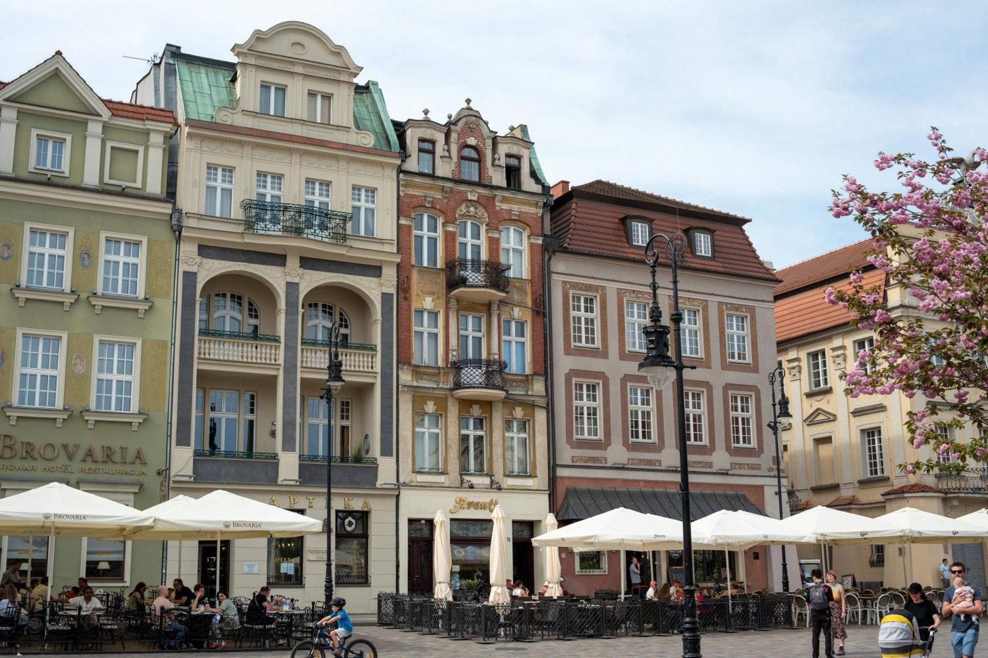Apartamenty Drevny Kocur — Photos 1